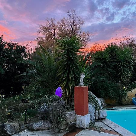 Le Clos De L'Isle Арль Экстерьер фото